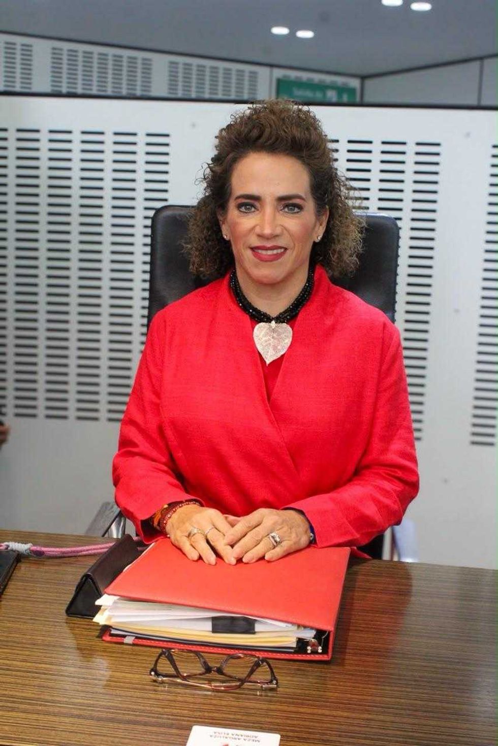 Diputada Adriana Meza en su oficina del Congreso de Quer\u00e9taro