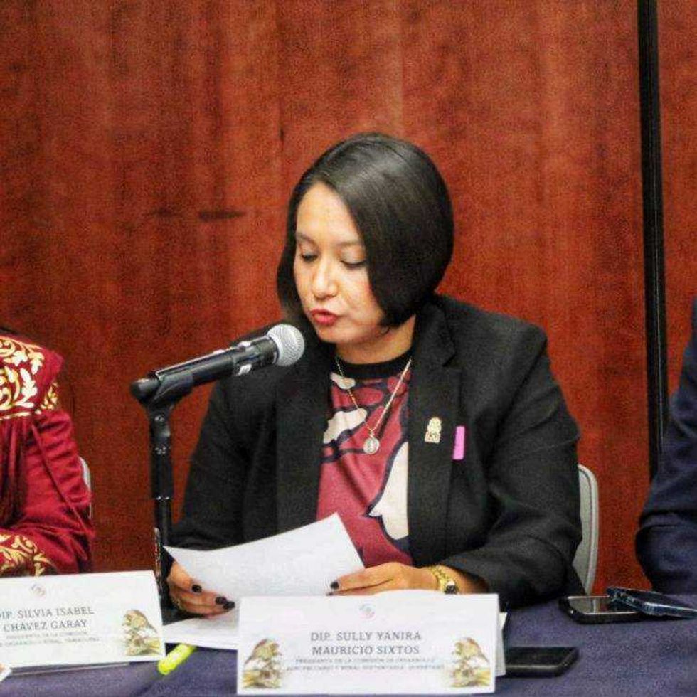 Diputada Sully Mauricio Sixtos durante intervención en reunión de Comisión de Agricultura del Senado sobre campo queretano.