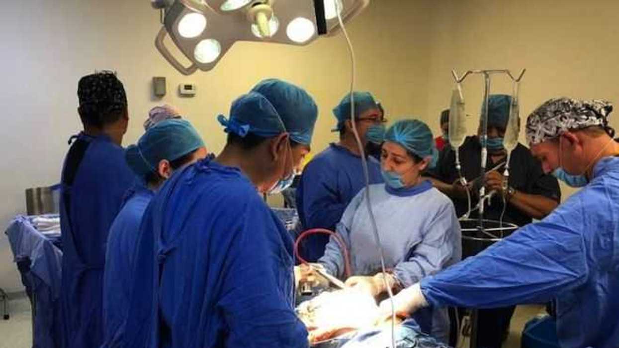 Donación de órganos