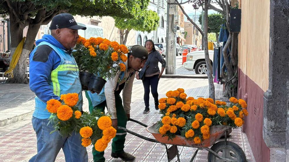 Dos hombres trasladan macetas de cempas\u00fachil por una calle de San Juan del R\u00edo antes de D\u00eda de Muertos
