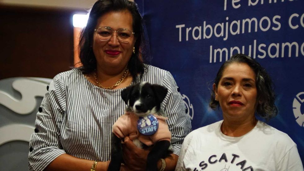 Dos mujeres posan con un cachorro con gafete de Staff de Escuadr\u00f3n Mascota; adopci\u00f3n de perros en San Juan del R\u00edo
