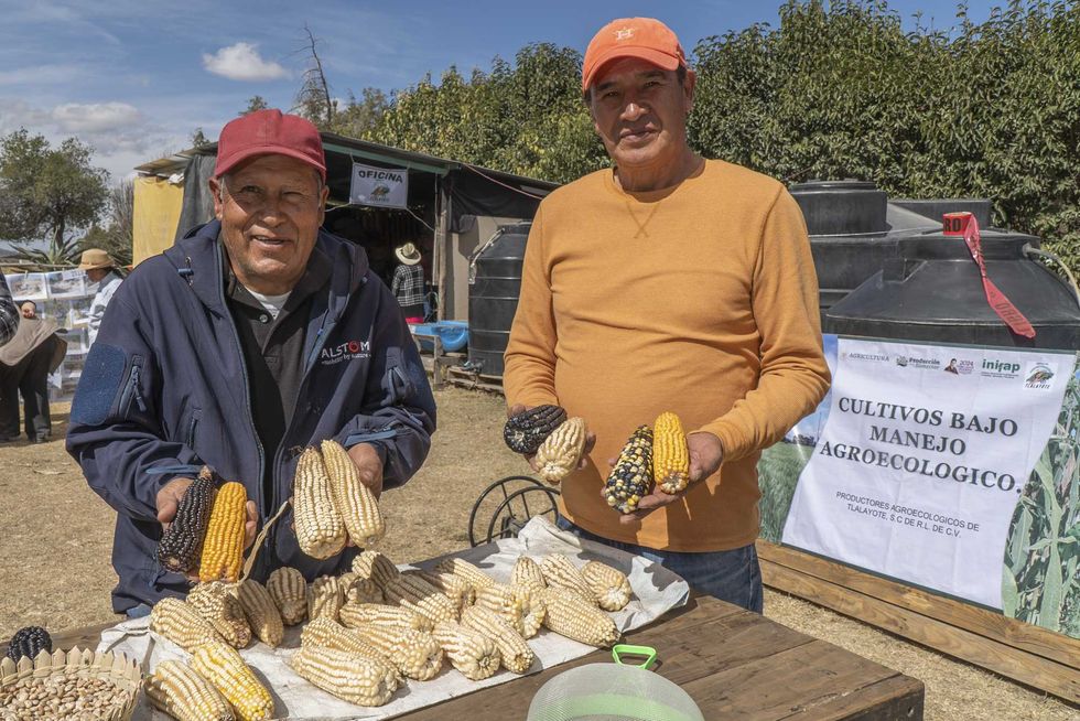 Dos productores muestran mazorcas de ma\u00edz nativo de distintos colores frente a banner de cultivos bajo manejo agroecol\u00f3gico