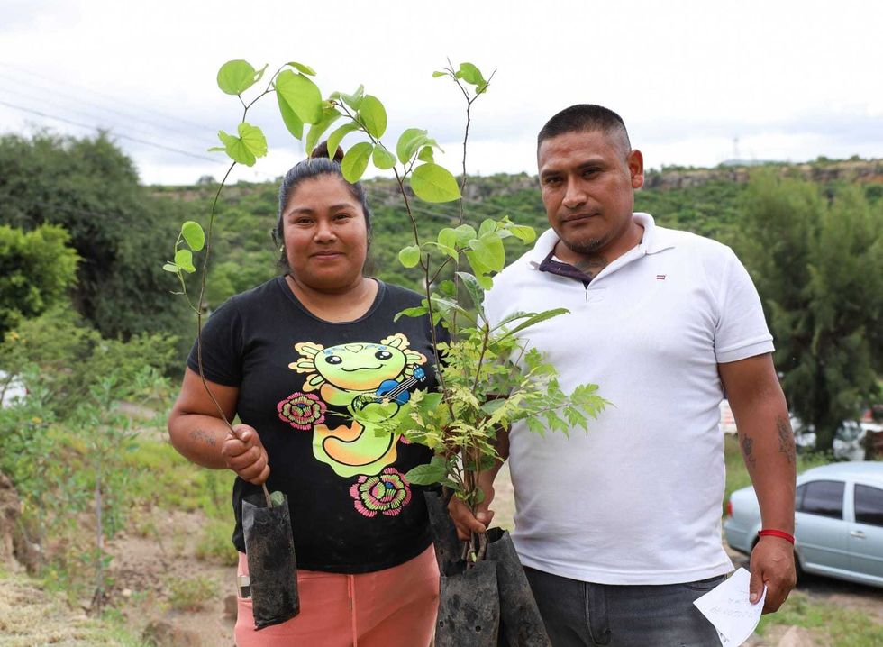 Dos vecinos de Lomo de Toro sostienen \u00e1rboles donados durante la jornada comunitaria