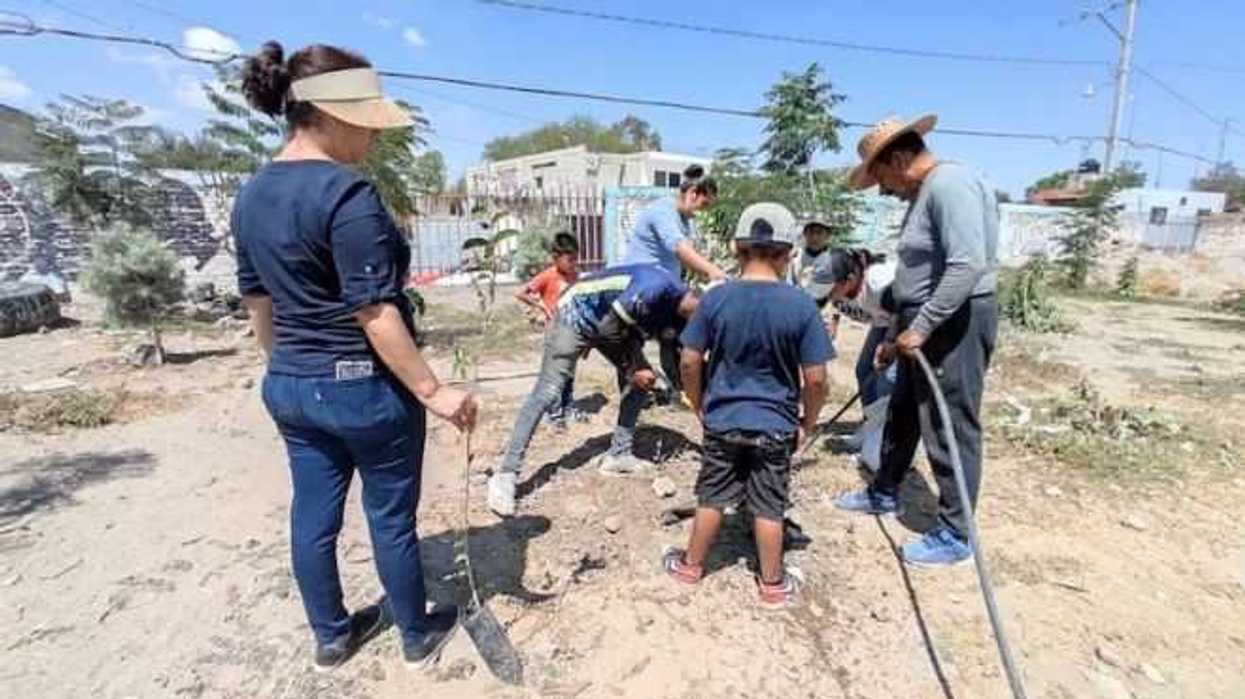 ecologia