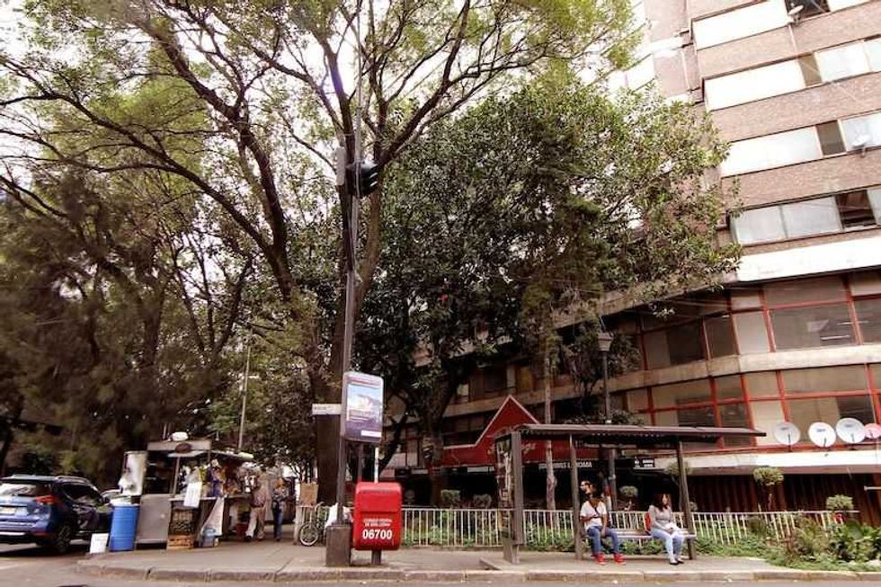edificio canada un gigante que se rehusa a morir 1