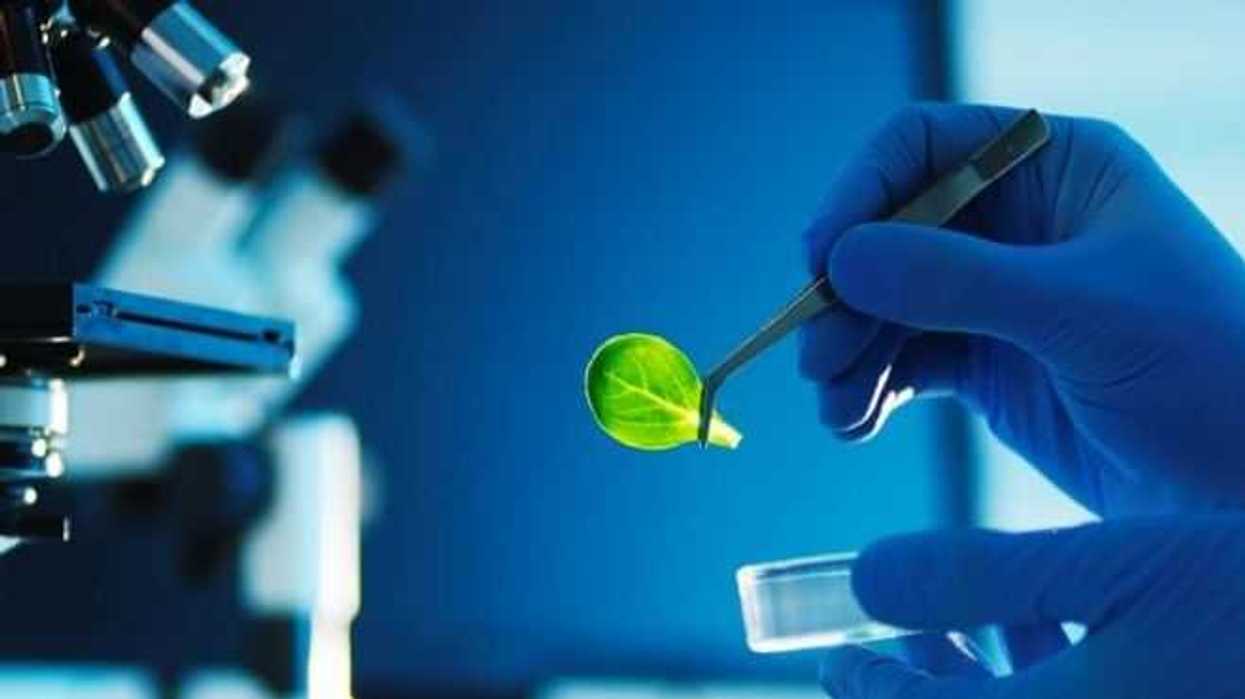 EFEMERIDES SALUD, TECNOLOGIA Y CIENCIA