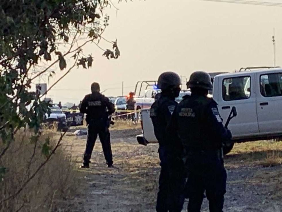 ejecutado puerta palmillas 1