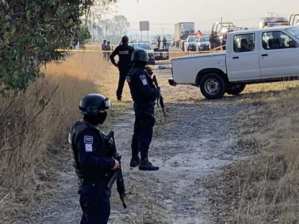 ejecutado puerta palmillas