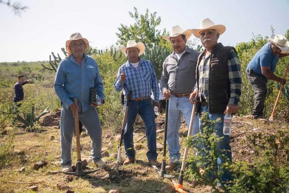 Ejidatarios participan con herramientas en la jornada de reforestaci\u00f3n realizada en Arcila, San Juan del R\u00edo