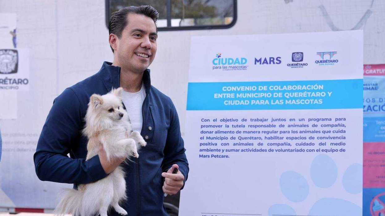 El presidente municipal de Querétaro encabezó una jornada de esterilización donde se atendieron 100 mascotas y se colocaron 50 microchips de identificación.