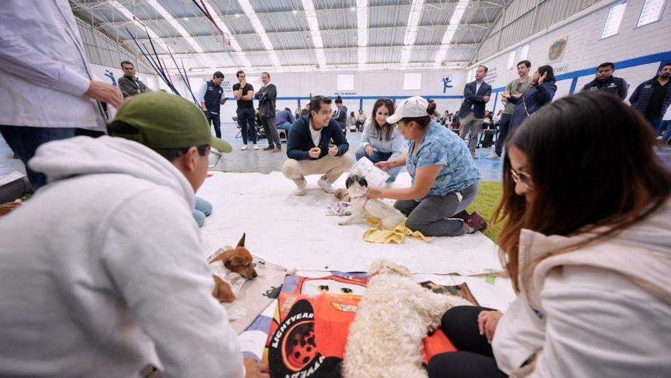 El presidente municipal de Querétaro encabezó una jornada de esterilización donde se atendieron 100 mascotas y se colocaron 50 microchips de identificación.
