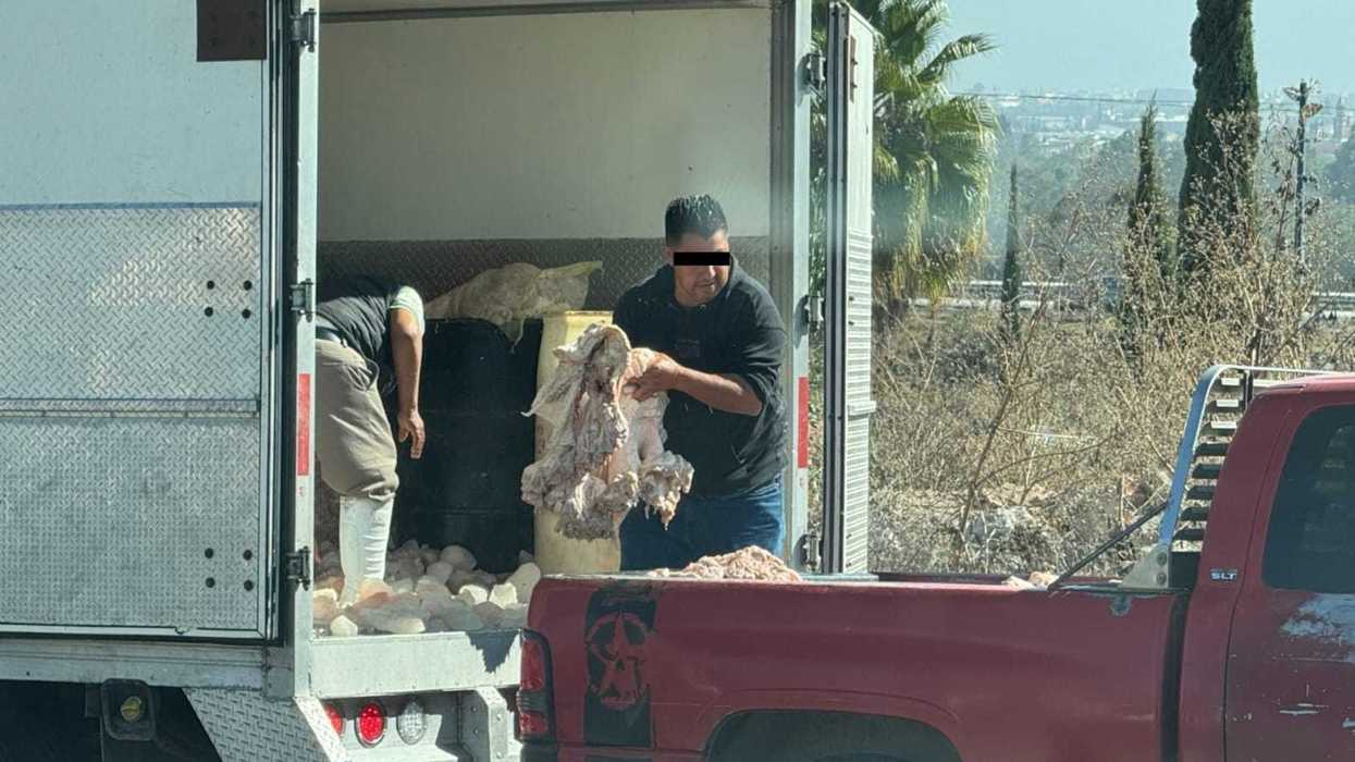 El producto cárnico queda expuesto a la intemperie sobre la batea metálica, sin recipientes cerrados ni cadena de frío, antes de llegar a puestos de vía pública