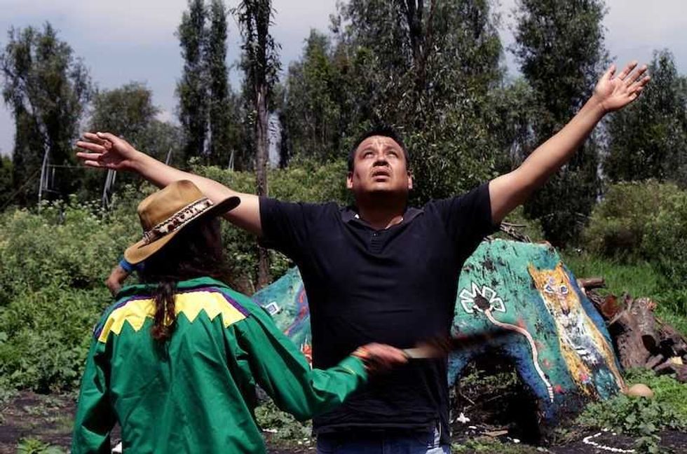 el sapo de sonora la medicina ancestral que conecta con el todo 1