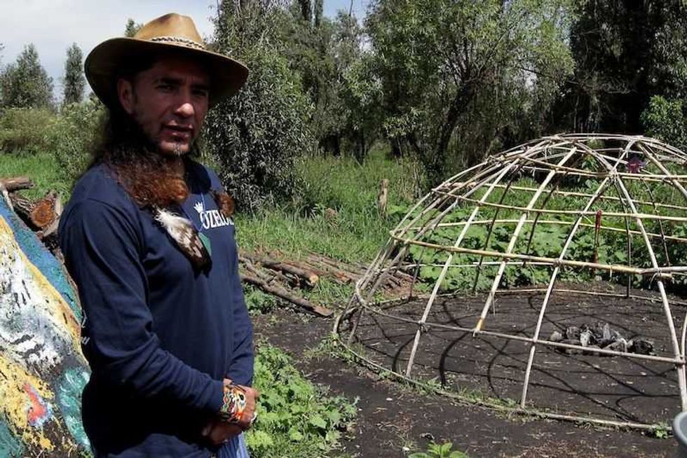 el sapo de sonora la medicina ancestral que conecta con el todo 4