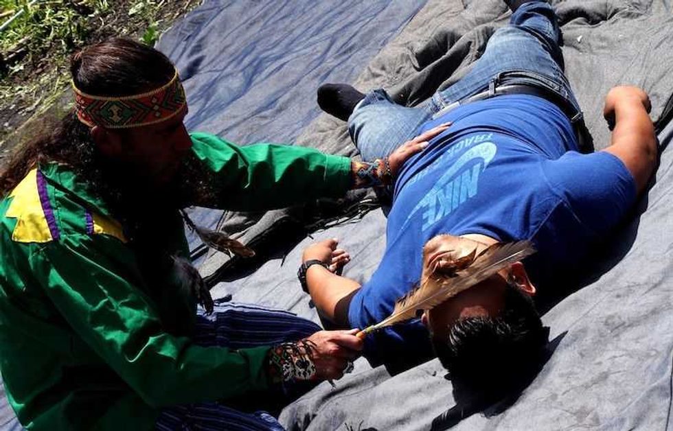 el sapo de sonora la medicina ancestral que conecta con el todo6