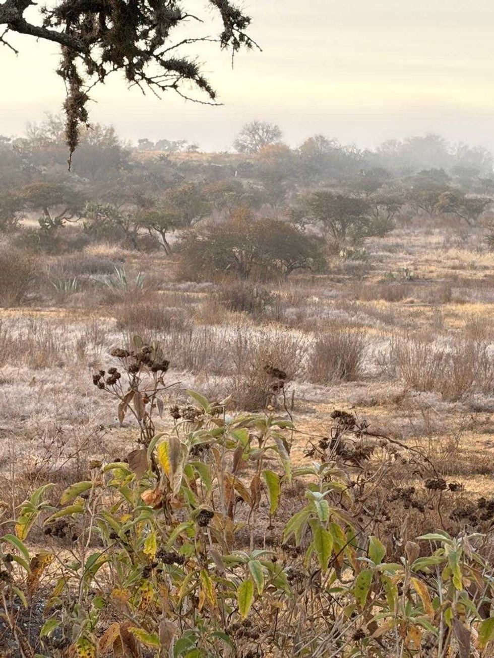 El Servicio Meteorol\u00f3gico Nacional pronostica ambiente fr\u00edo matutino en Quer\u00e9taro con heladas en zonas altas.