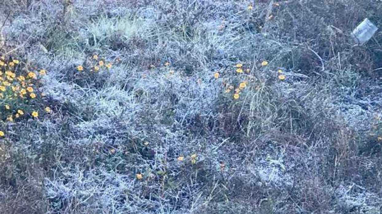 El Servicio Meteorológico Nacional advierte sobre temperaturas de 0 a 5°C en zonas serranas de Querétaro, con heladas severas en otros estados del norte del país.