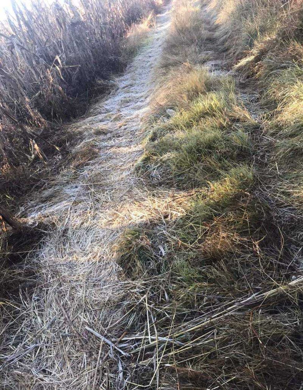 El Servicio Meteorológico Nacional advierte sobre temperaturas de 0 a 5°C en zonas serranas de Querétaro, con heladas severas en otros estados del norte del país.