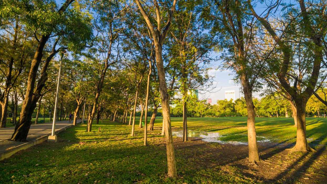 El síndico municipal Claudio Sinecio Flores anunció que el Ayuntamiento de Querétaro incorporará nuevas áreas verdes de conservación en cada sesión ordinaria de Cabildo.