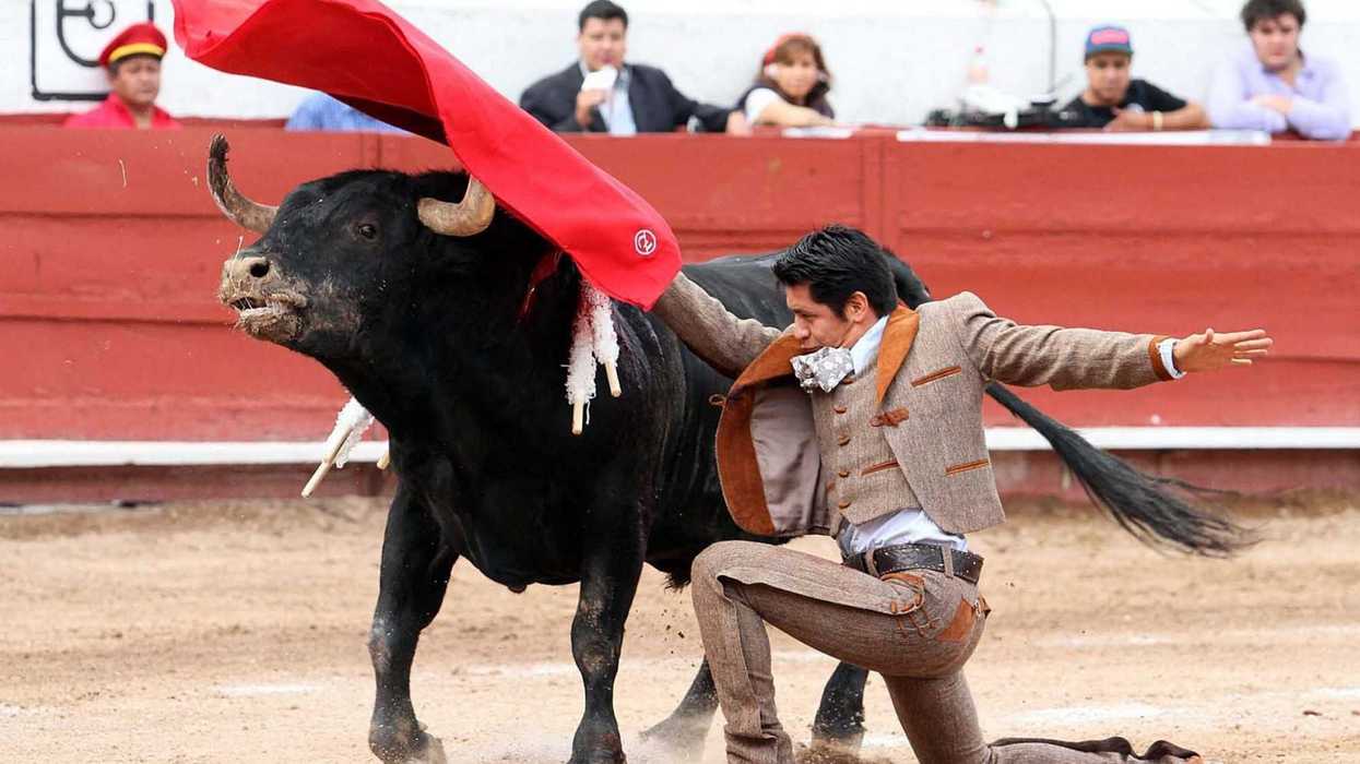 EL ZAPATA. NOTIMEX