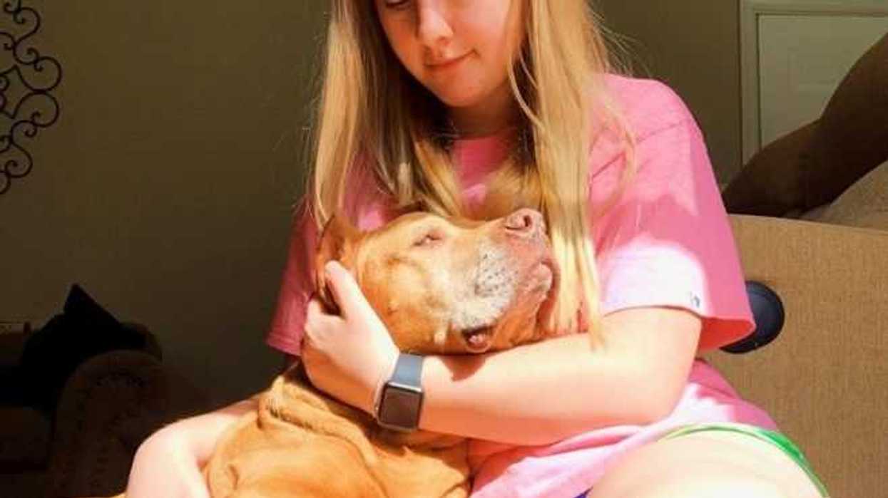 elecciones-metoo-efe