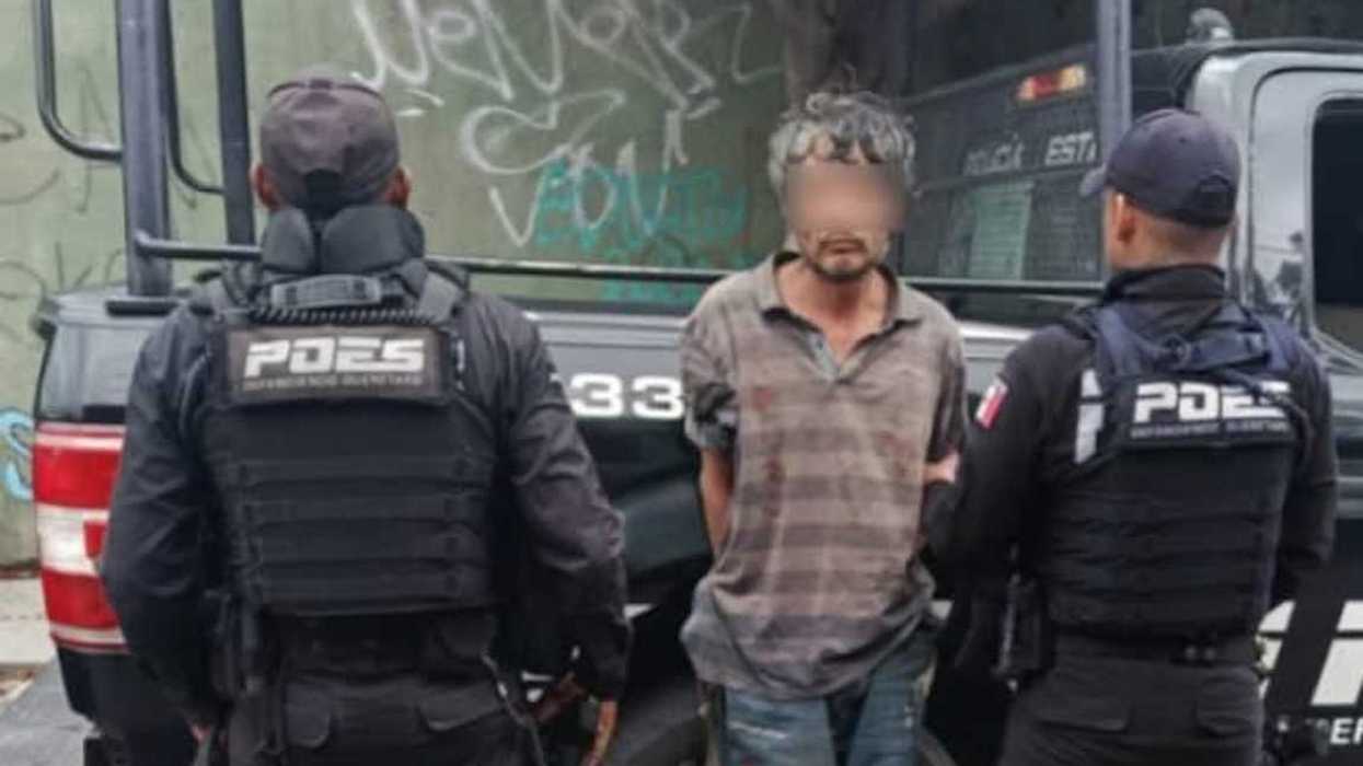 Elemento del Grupo Lobos K9 de la Policía Estatal durante operativo preventivo en Querétaro.