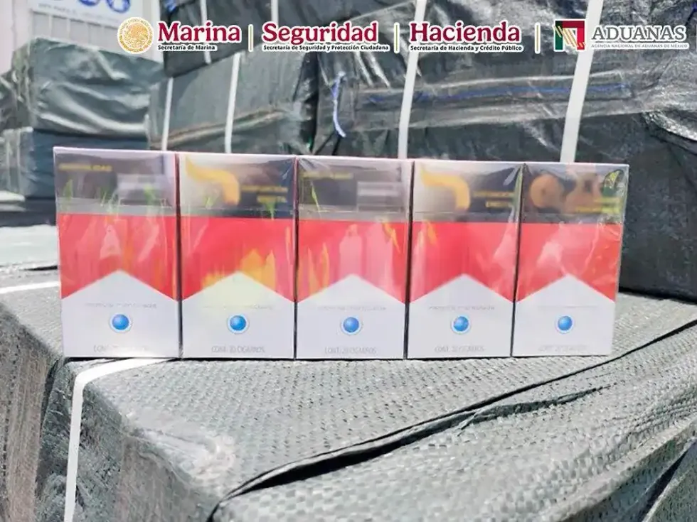 Elemento militar con perro detector revisa pallets con mercanc\u00eda embalada durante operativo de la ANAM en el puerto de Manzanillo, Colima.