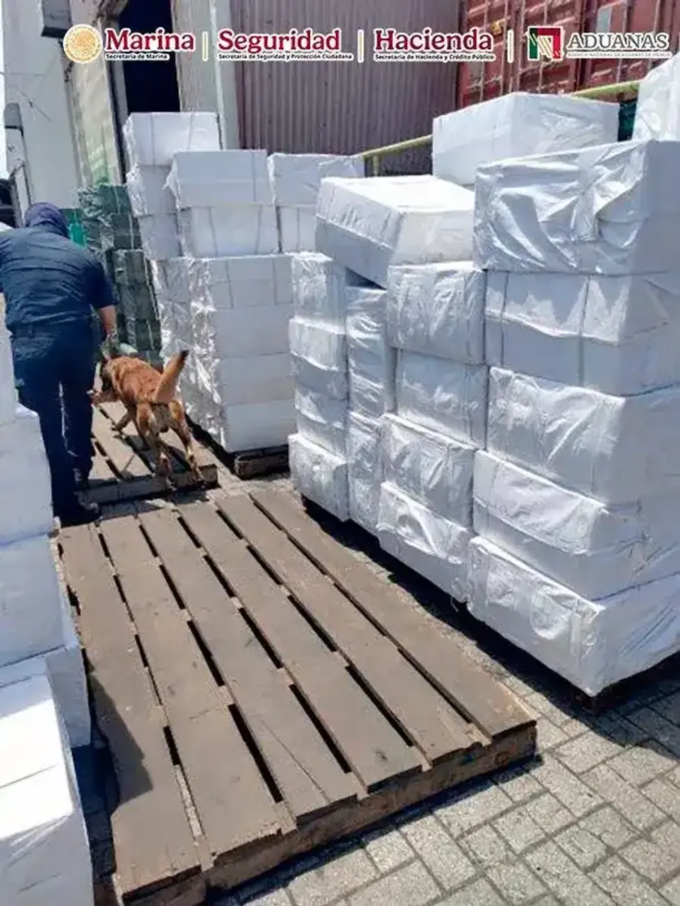 Elemento militar con perro detector revisa pallets con mercanc\u00eda embalada durante operativo de la ANAM en el puerto de Manzanillo, Colima.