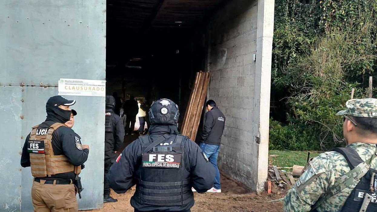 Elementos de la FES y Guardia Nacional en puerta de inmueble clausurado por tala clandestina en Ocuilan