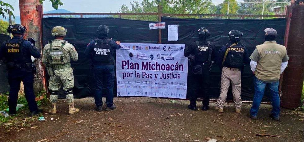 Rescatan tigre de bengala y detienen a un hombre en Michoacán