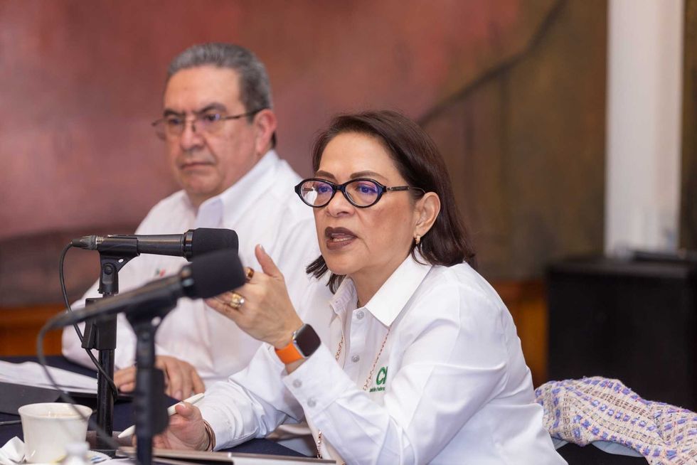 Emilia Esther Calleja Alor habla frente a un micr\u00f3fono durante la mesa de trabajo sobre inversi\u00f3n el\u00e9ctrica en Quer\u00e9taro.