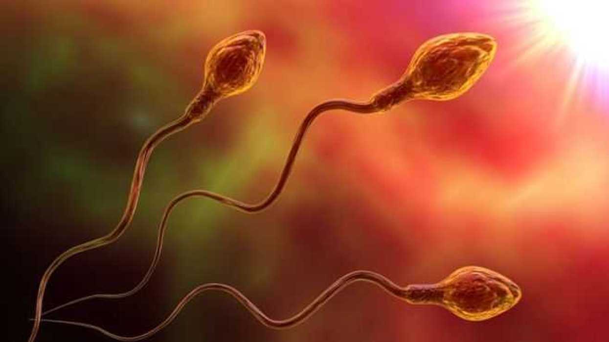 emociones-factor-que-impacta-en-la-fertilidad-de-las-parejas