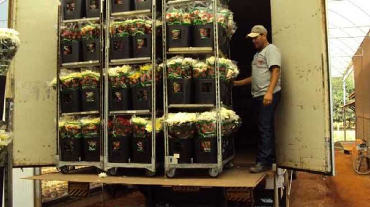 empresa-de-mensajeria-transportara-88-millones-de-flores