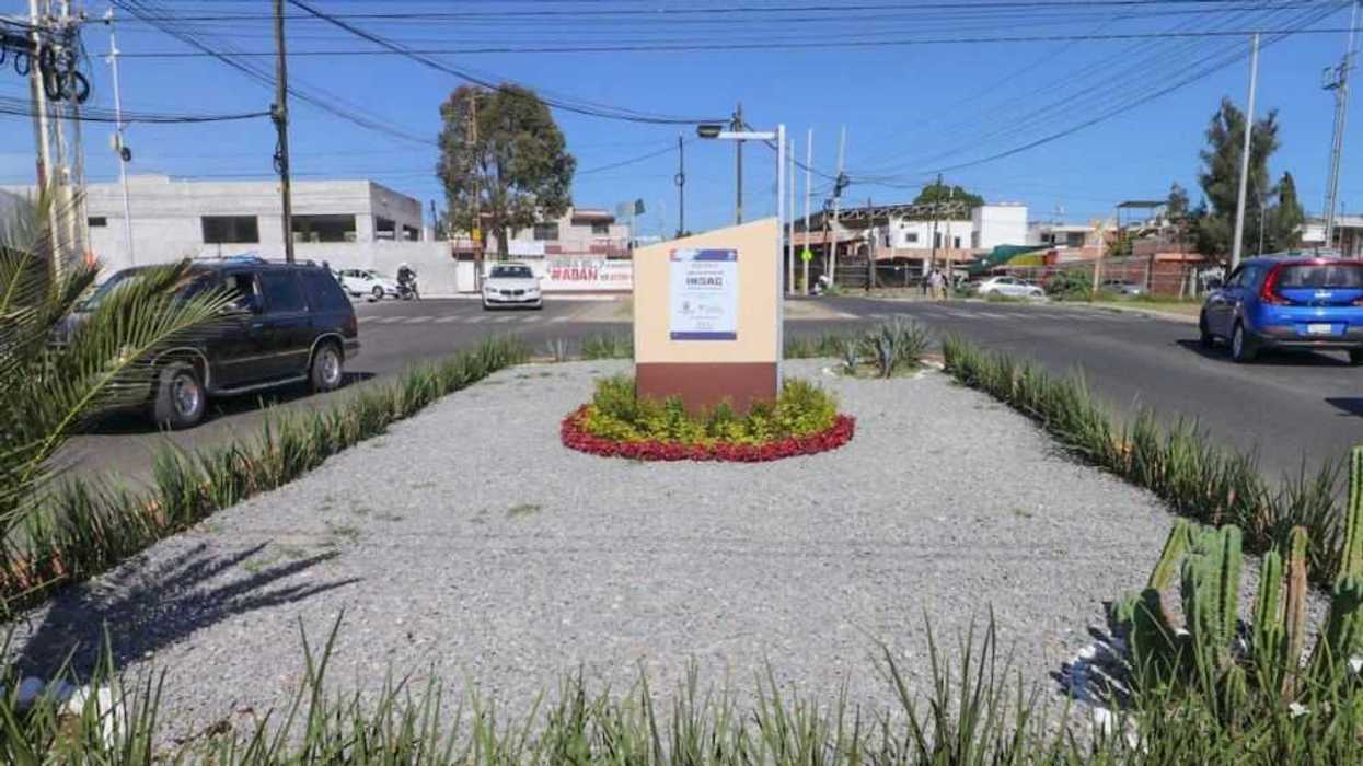 Empresa INOAC adopta camellón en San Juan del Río.