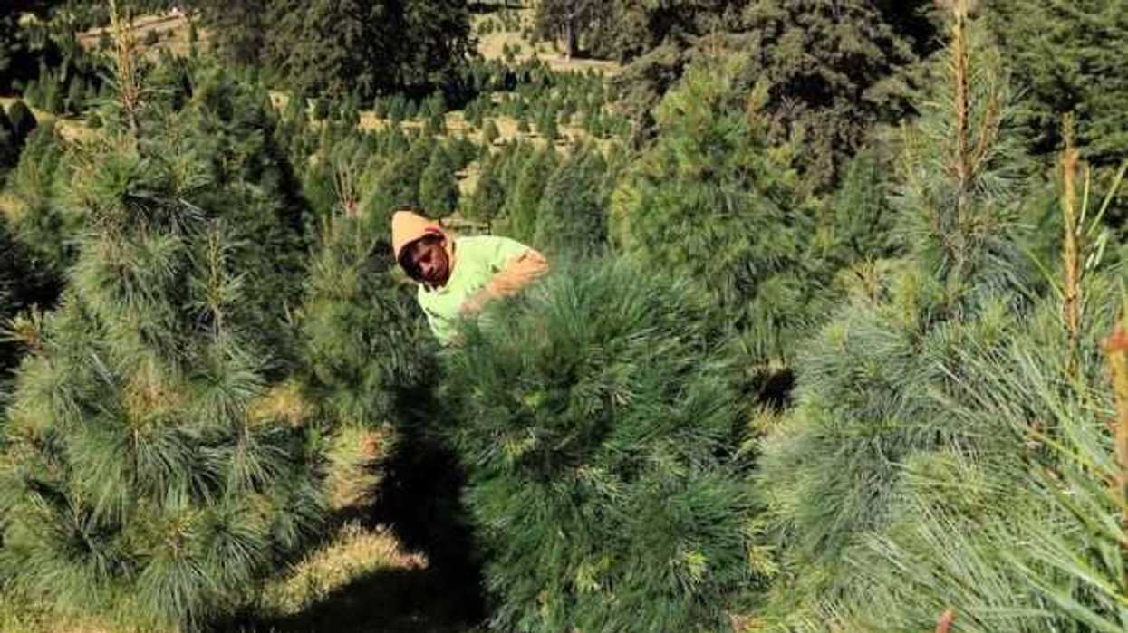 En entrevista con Bernardo García