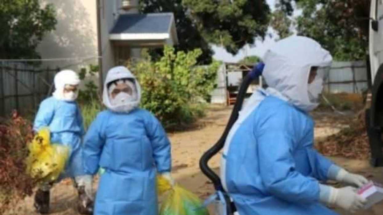 en-julio-entre-80-y-100-casos-de-ebola-por-semana-en-rdc