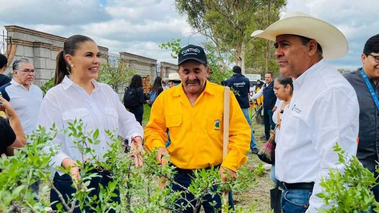Encabeza Marcia Solórzano jornada de reforestación en San Juan del Río.