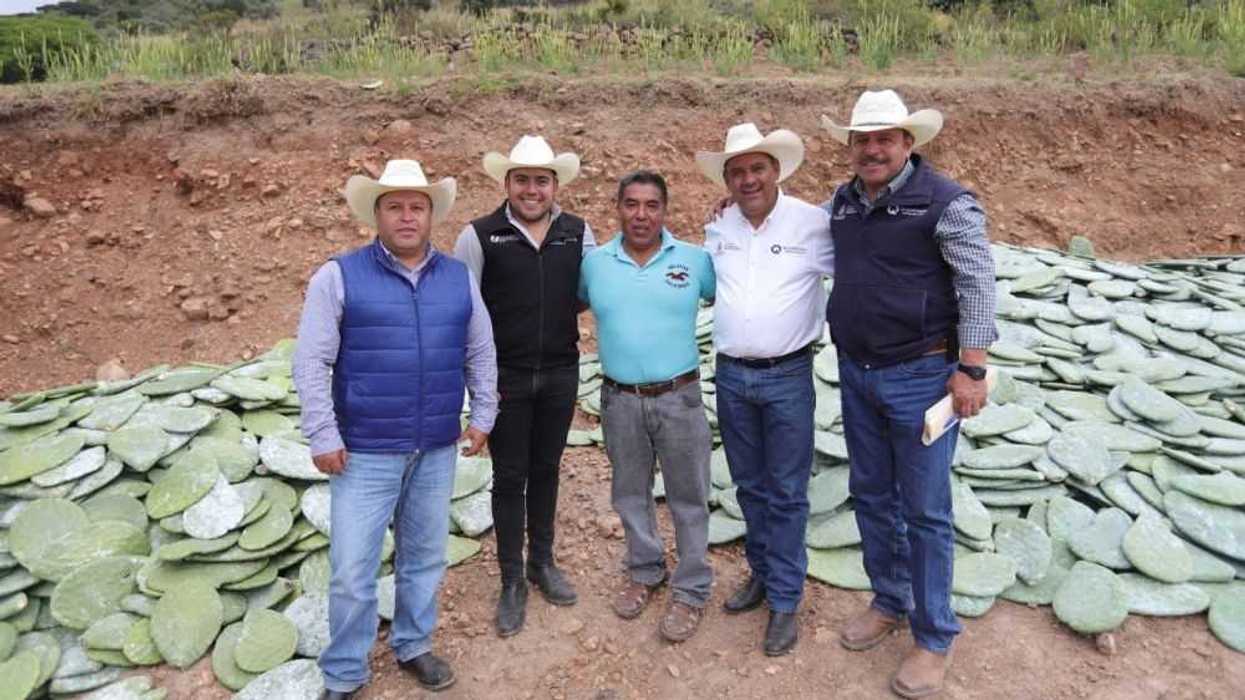 Entregan 128 mil raquetas para sembrar nopal en El Varal, Amealco.