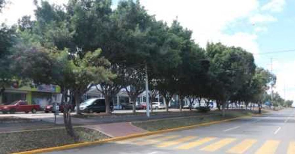 entregan-parque-lineal-la-colonia-balaustradas-queretaro-2