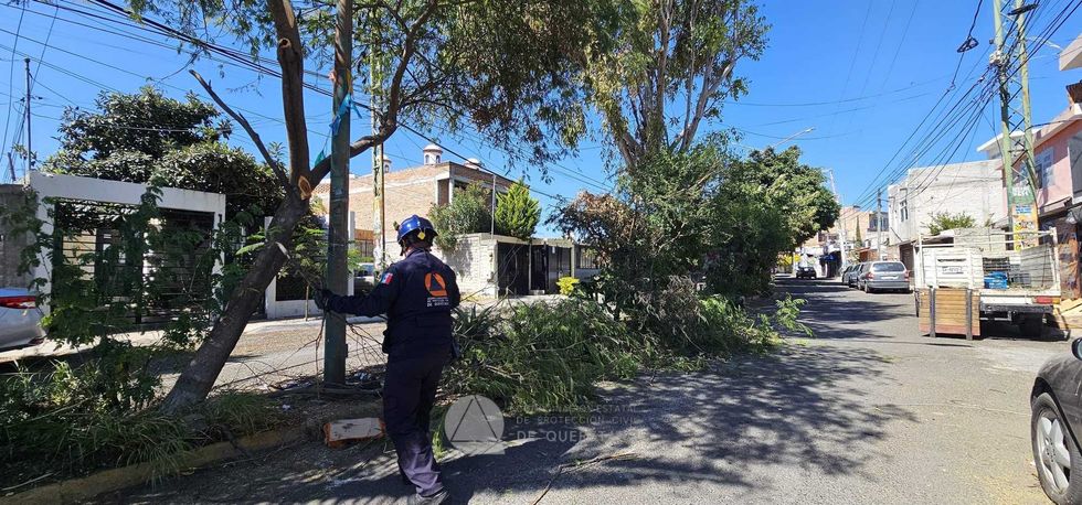 Equipos de Protección Civil retiran vegetación que obstruía la vialidad en la colonia Las Azucenas durante operativo de emergencia.