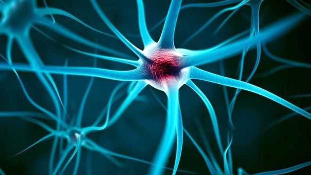 esclerosis-multiple-hace-que-pacientes-pierdan-mas-rapido-masa-cerebral.jpg