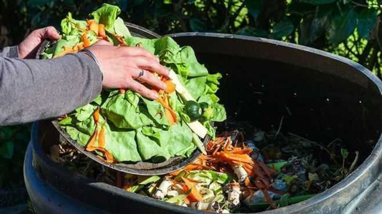 espana-desperdicia-mas-de-mil-300-millones-de-kilos-de-alimentos-al-ano