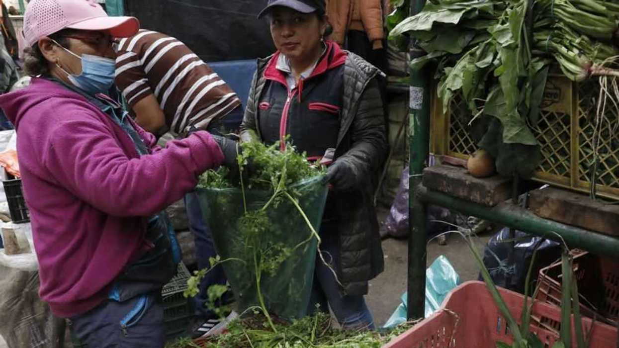 Esta semana será clave para conocer la evolución de los precios en Latinoamérica, con la publicación del dato de inflación de noviembre en grandes economías de la región como Brasil, México, Chile y Colombia. EFE/ Carlos Ortega.