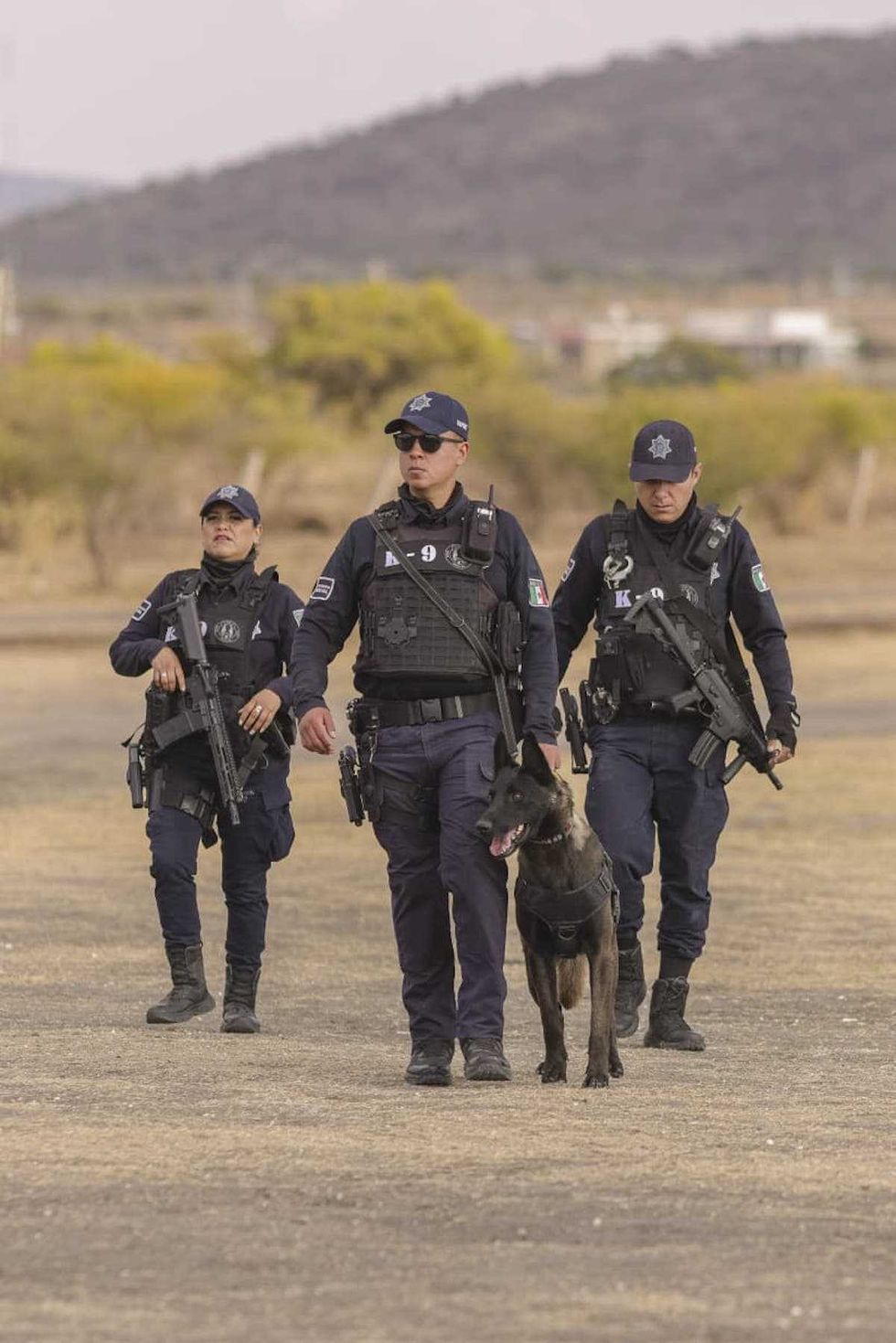 Estad\u00edsticas del SESNSP e INEGI sobre seguridad y violencia de g\u00e9nero en Quer\u00e9taro durante 2025 y 2026