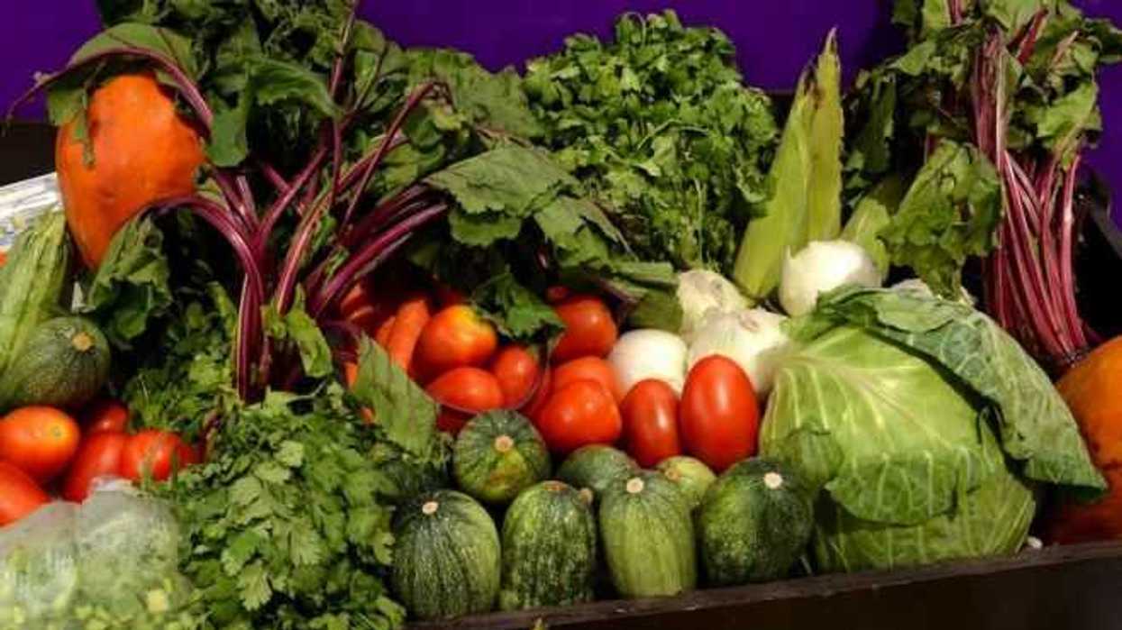 estiman-ventas-por-22-mil-mdp-en-feria-de-negocios-agroalimentarios