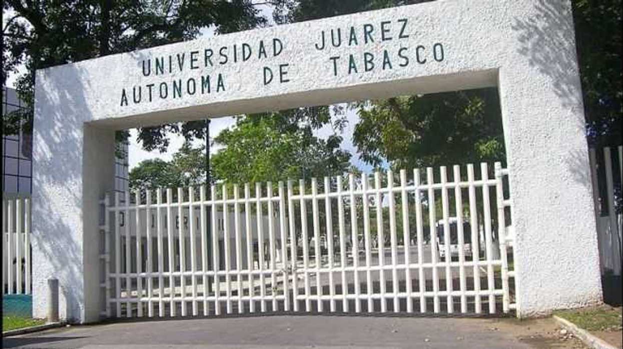 estudiante-mexicano-disena-ladrillos-con-plastico-molido