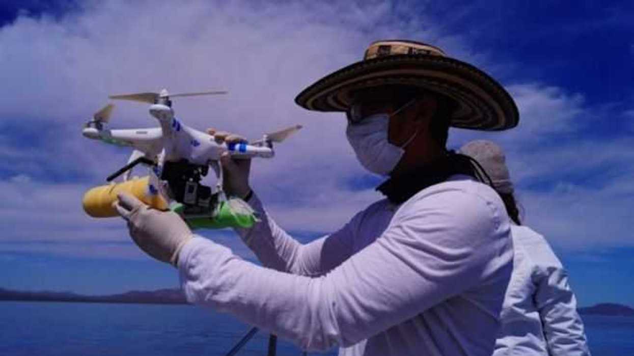 estudiante-universitario-monitorea-a-ballenas-drones-1