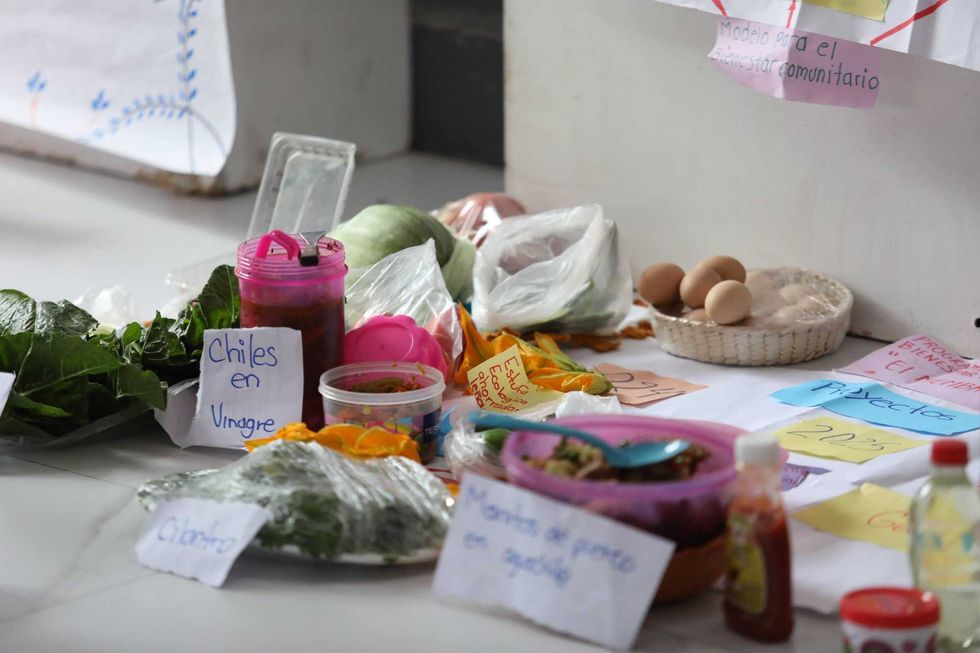 Exhibici\u00f3n de alimentos y productos artesanales de grupos de desarrollo comunitario en encuentro regional del DIF Estatal en Pe\u00f1amiller, 2026