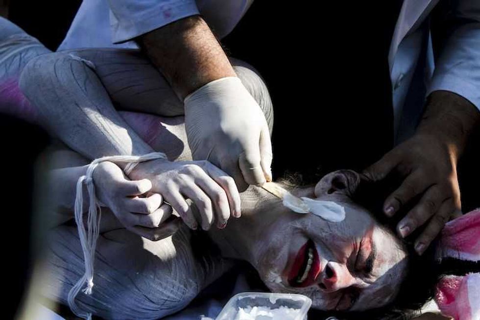 experimentos animales cosmeticos