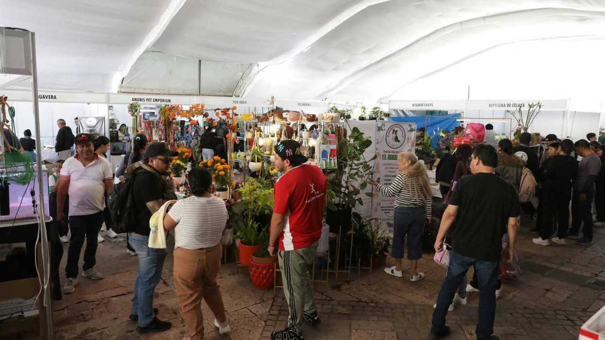 Familia observa peceras en un stand de la Expo Acuario San Juan del Río 2026